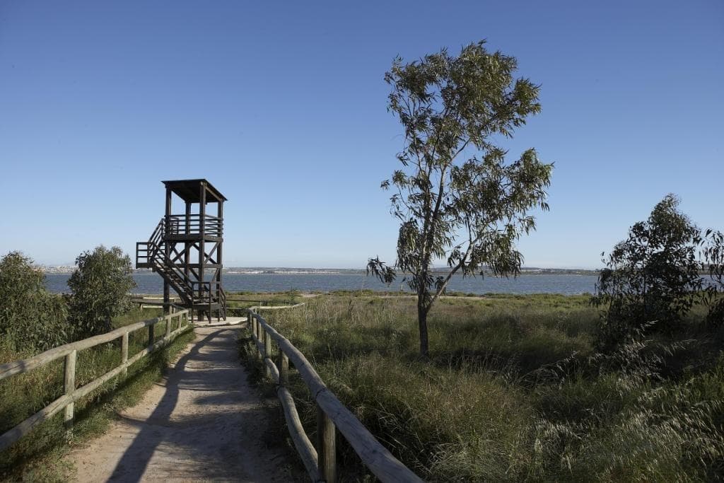 Bungalow med 2 soverom og 2 bad i Torrevieja – bilde 4