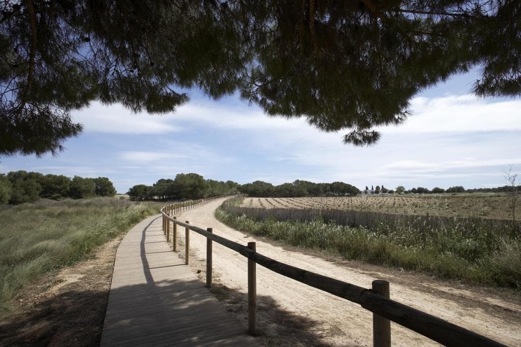 Bungalow med 2 soverom og 2 bad i Torrevieja – bilde 5