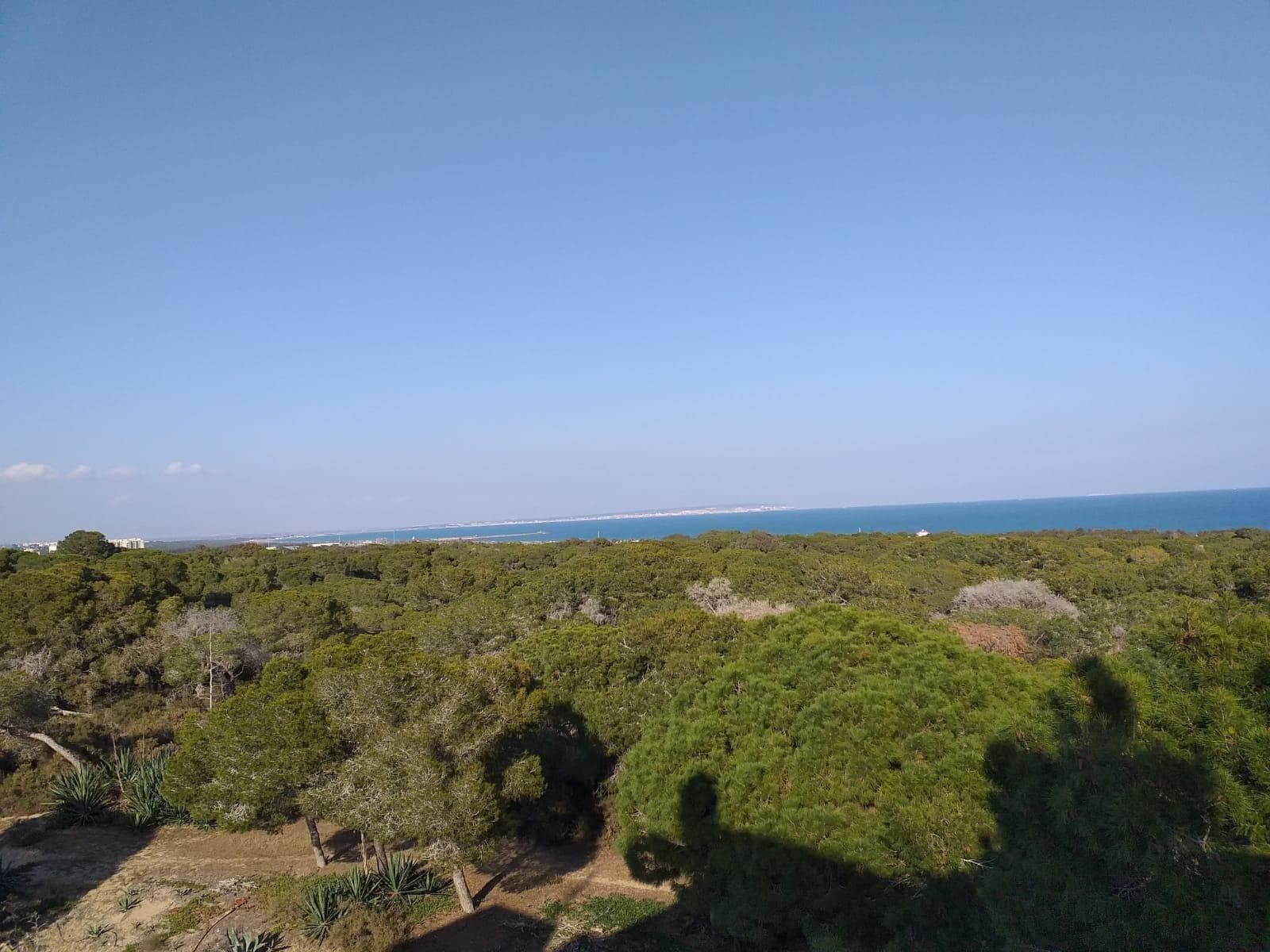 Leilighet med 4 soverom og 4 bad i Guardamar del Segura – bilde 3